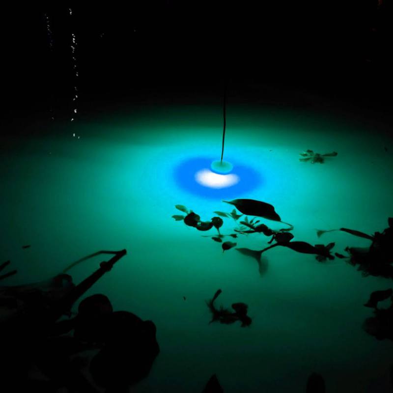 Umpan pancing Mini, lampu pert - Fishing Boat Navigation Light ulasan dan harga